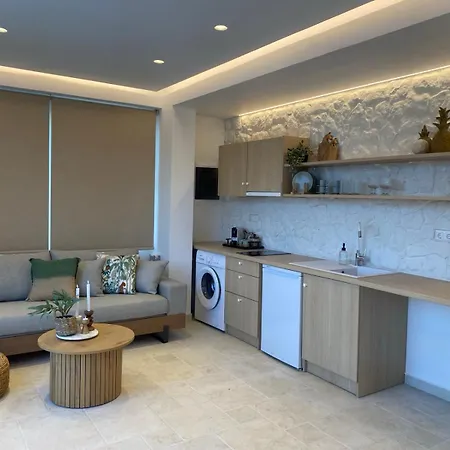아파트 Stavroula Studios 팔레오카스트리차